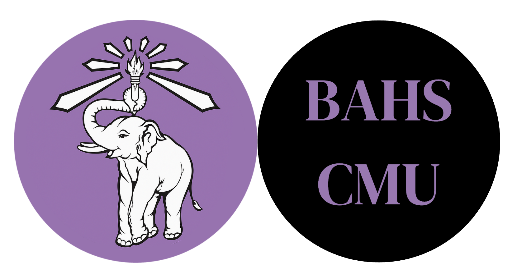 BAHS Logo